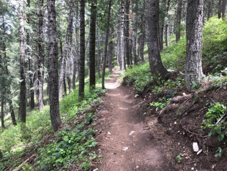 New Toll Canyon trail to connect Pinebrook and Summit Park