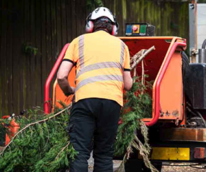 Pinebrook Wood Chipping Days June 5-8, 2025