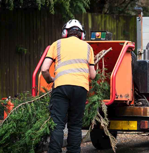 Wood Chipping Available