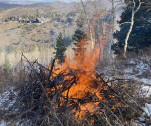Pinebrook controlled burning begins Friday, March 28th