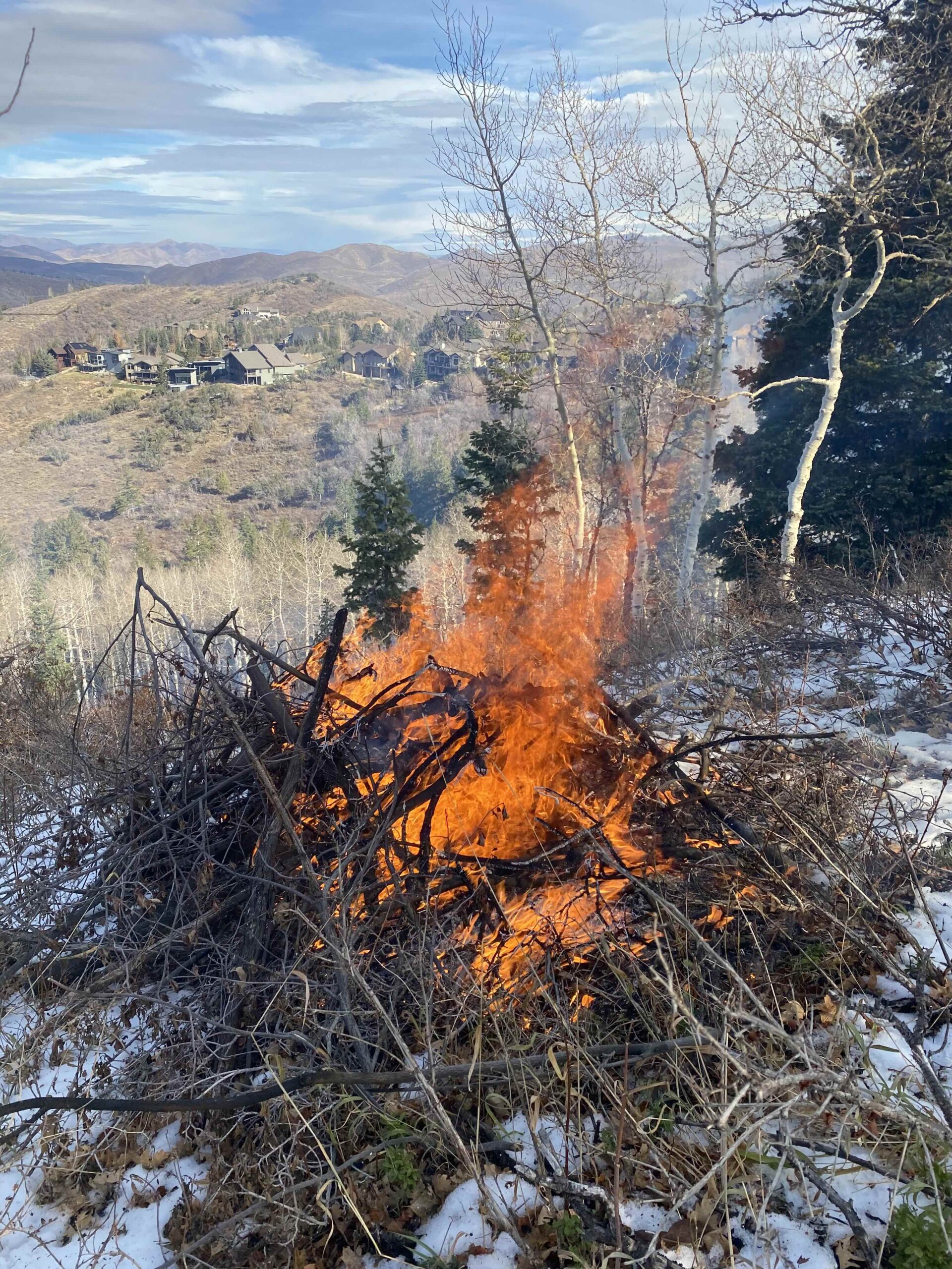 Pinebrook controlled burning begins Friday, March 28th